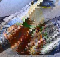 The Strand Byford Lakeside Restaurant  Cafe