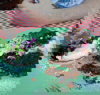 Perrella's - Maitland Accommodation