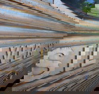 Silver Star Cafe - Maitland Accommodation