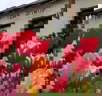 Tiny Tea Shop - Maitland Accommodation