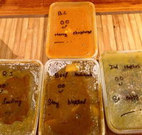 Surya Indian Cuisine - Maitland Accommodation