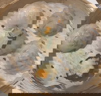 Tang Song - Maitland Accommodation