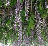The Topiary Pantry - Maitland Accommodation