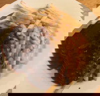 Mount Pleasant Hotel Motel - Maitland Accommodation