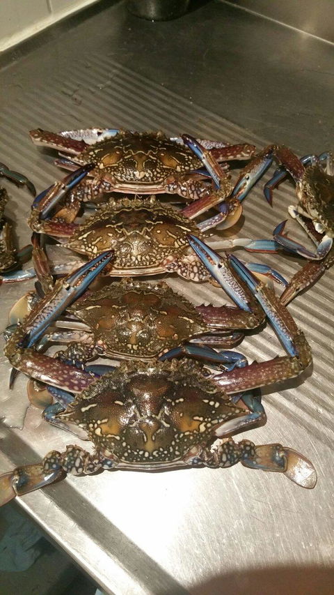 Ruffino's - Maitland Accommodation 5