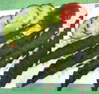 Curry Muncher Pacific Pines - Maitland Accommodation