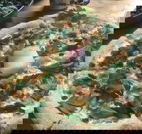 Jafa - Maitland Accommodation