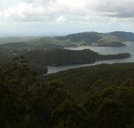 Lower Beechmont Kitchen - Maitland Accommodation