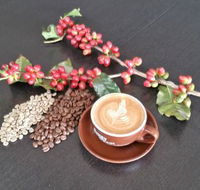 Simply Beans Coffee Roasters - Maitland Accommodation