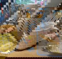 Spring Eats and Treats