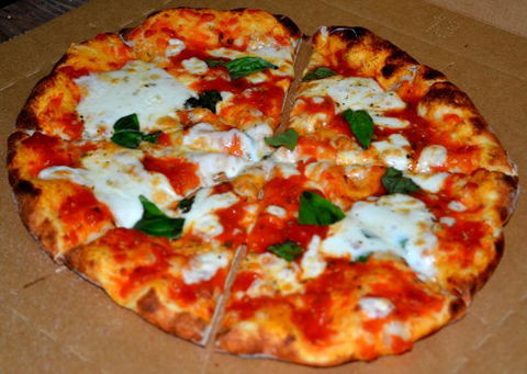 The Lounging Emu - Maitland Accommodation 0