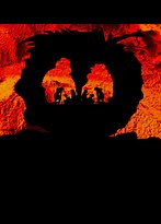 The Lounging Emu - Maitland Accommodation 1