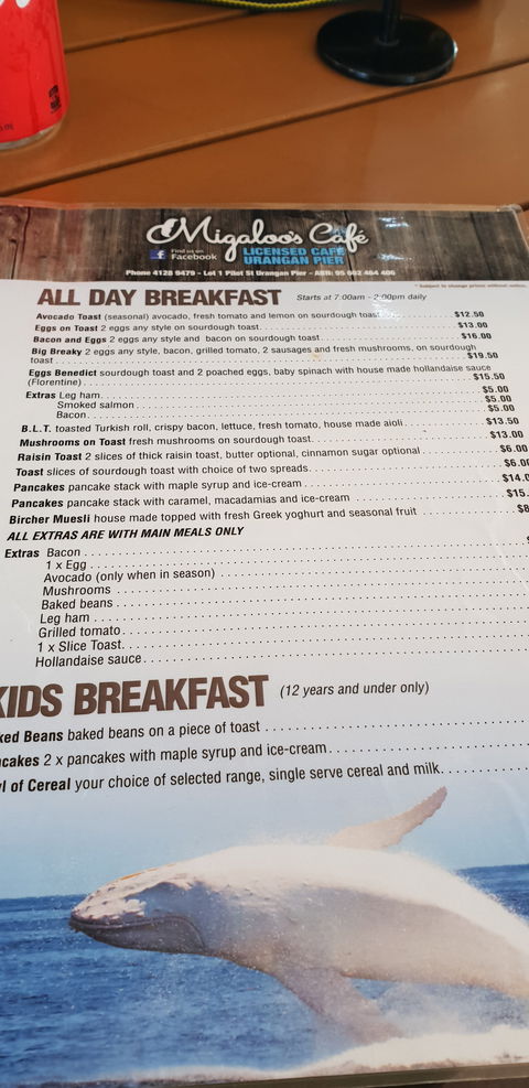 Migaloo's Cafe - Maitland Accommodation 3