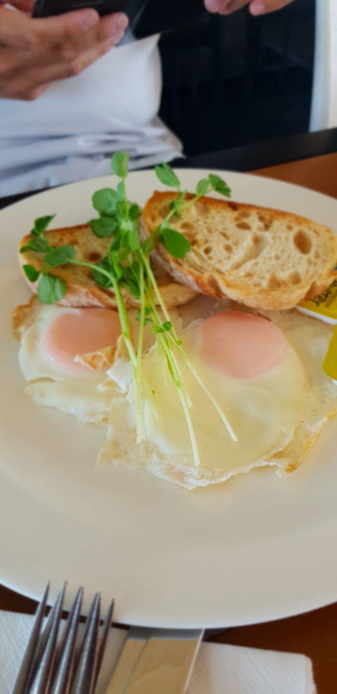 Migaloo's Cafe - Maitland Accommodation 5