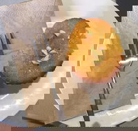 New Leaf Cafe Murwillumbah - Maitland Accommodation