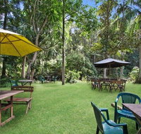 Rainforest - Maitland Accommodation