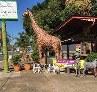 The Big Giraffe - Maitland Accommodation