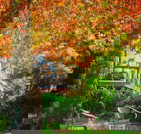 The Woods Ravensbourne - Maitland Accommodation