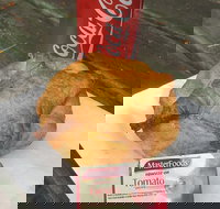 Uki Pies - Maitland Accommodation