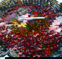 Red Chilli Sichuan Burwood - Maitland Accommodation