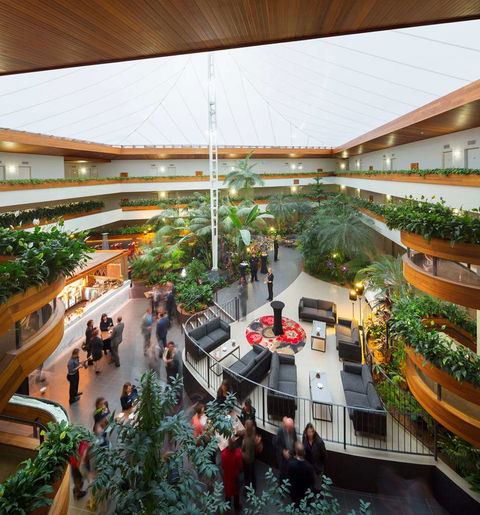 Pavilion on Northbourne - Maitland Accommodation 11