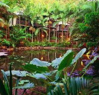 Daintree Eco Lodge  Spa - Maitland Accommodation