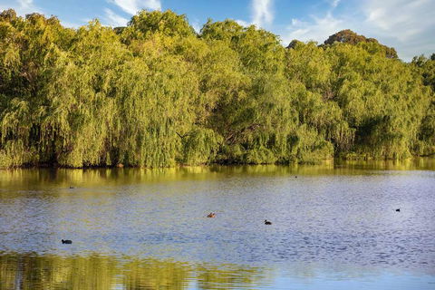 Club Wyndham-Trademark Collection - Maitland Accommodation 2