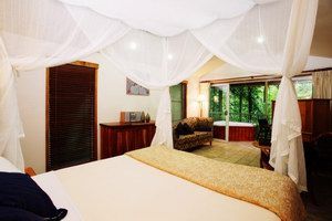 Daintree Eco Lodge & Spa - Maitland Accommodation 1