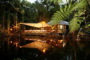Daintree Eco Lodge & Spa - Maitland Accommodation 2
