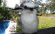 Yarrandabbi Dreaming Boutique B&B - thumb 2