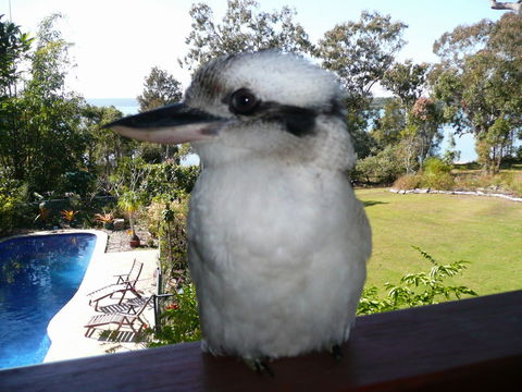 Yarrandabbi Dreaming Boutique B&B - Maitland Accommodation 2