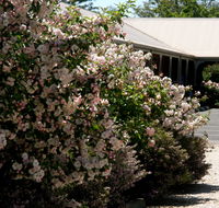 Wine Village Motor Inn - Maitland Accommodation