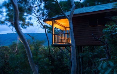 Thala Beach Nature Reserve - Maitland Accommodation 0