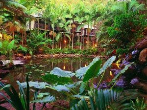 Daintree Eco Lodge & Spa - Maitland Accommodation 0
