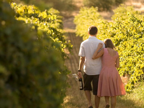 Novotel Barossa Valley Resort - Maitland Accommodation 1