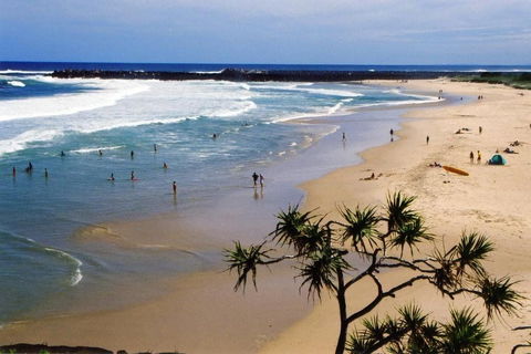 Discovery Parks Ballina - Maitland Accommodation 0