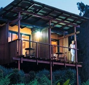 O'Reilly's Rainforest Guesthouse - Maitland Accommodation 1