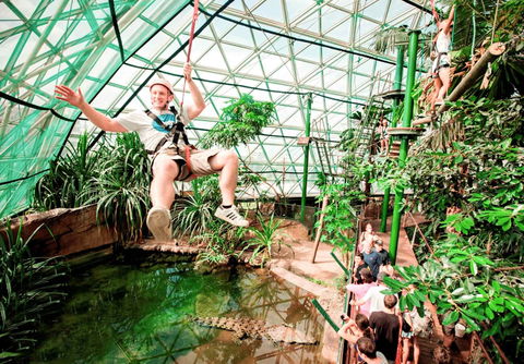 Pullman Reef Hotel Casino - Maitland Accommodation 16