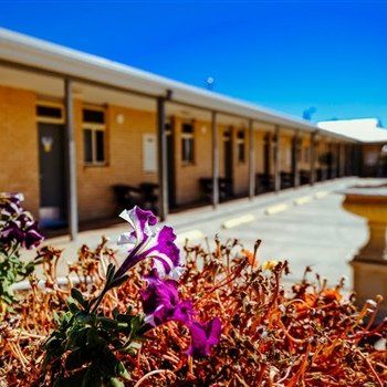 MAS Country Club Motor Inn - Maitland Accommodation 1