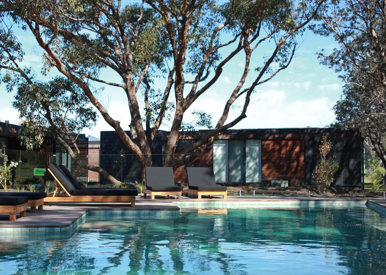 Back Forest NSW Maitland Accommodation