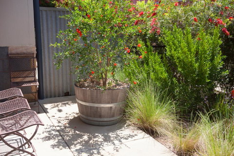 One Of A Kind Apartments - Maitland Accommodation 15