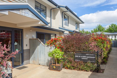 One Of A Kind Apartments - Maitland Accommodation 36