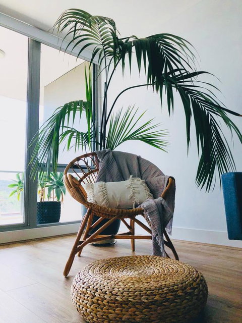 Staying Places - The Avenue - Maitland Accommodation 14