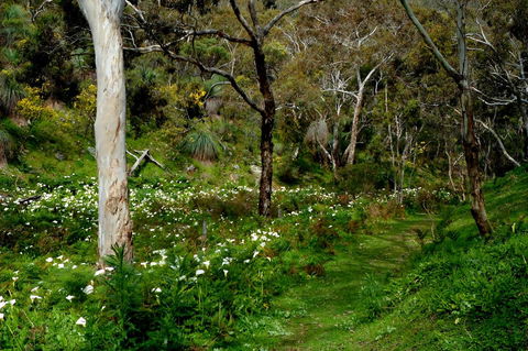 Lure Bed And Breakfast - Maitland Accommodation 17