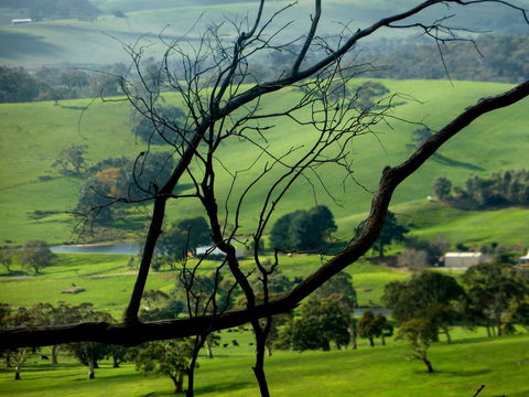 Lure Bed And Breakfast - Maitland Accommodation 21