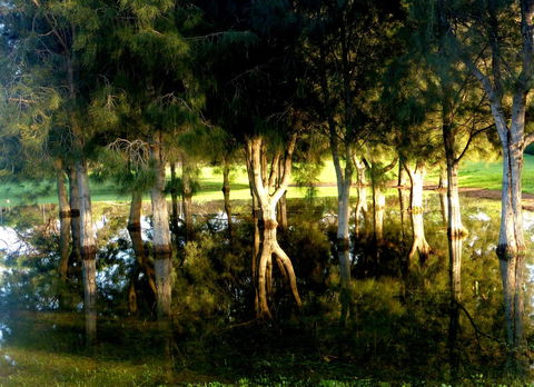 Lure Bed And Breakfast - Maitland Accommodation 18