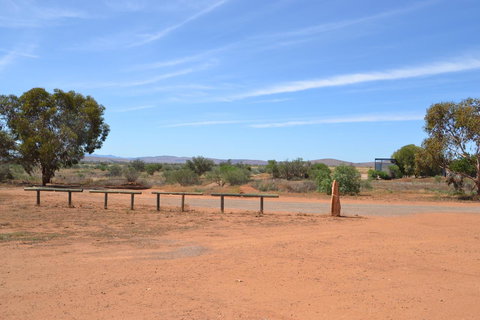 Windana Cottages - Maitland Accommodation 23