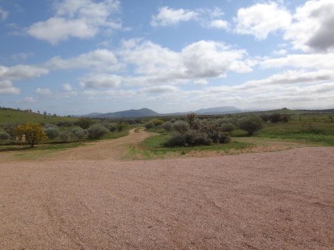 Windana Cottages - Maitland Accommodation 37