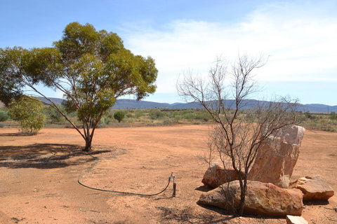 Windana Cottages - Maitland Accommodation 25