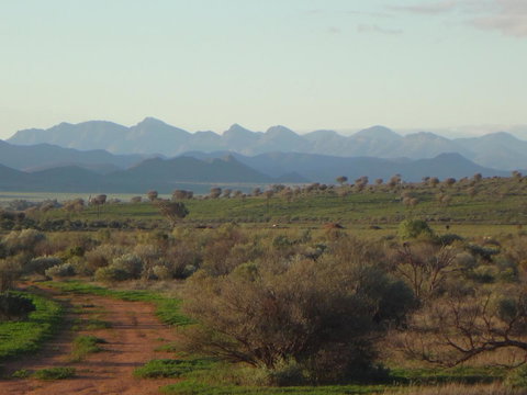 Windana Cottages - Maitland Accommodation 41